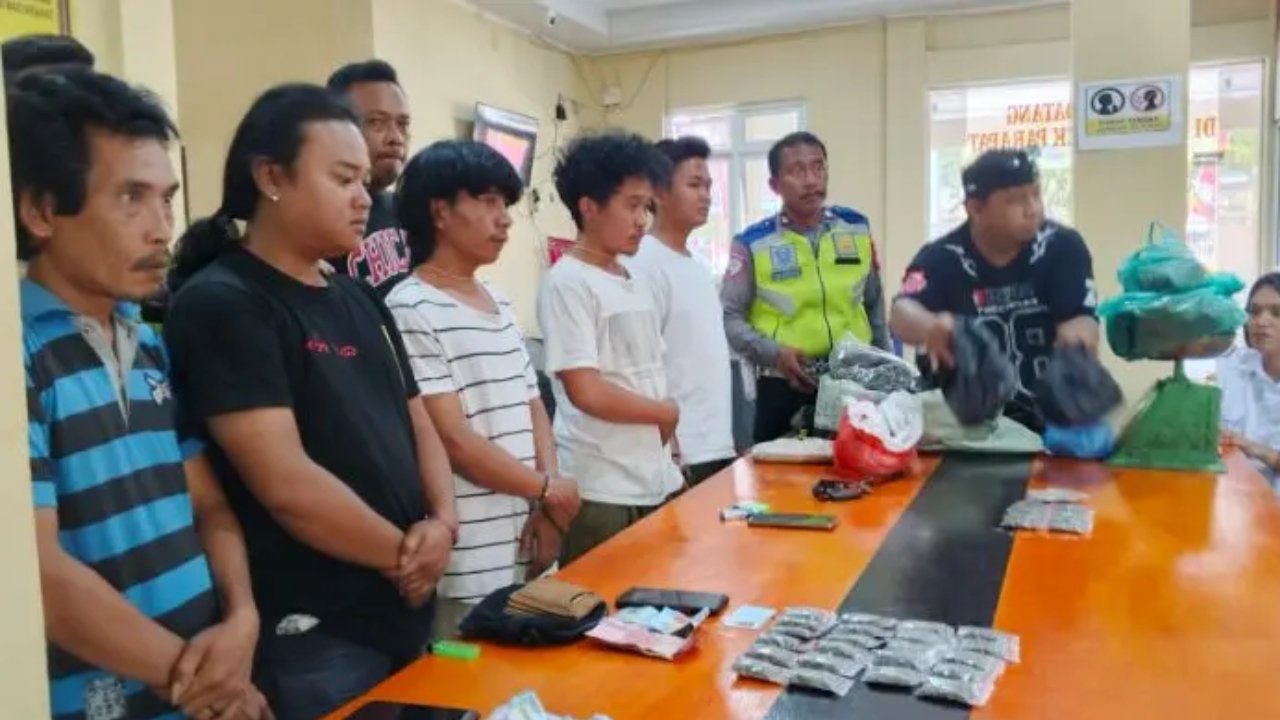 Polsek Parapat Amankan 2,7 Kg Ganja dari Lima Tersangka di Dua Lokasi