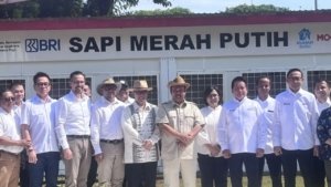 Bappenas Luncurkan Program Sapi Merah Putih, Pendanaan Bebas APBN