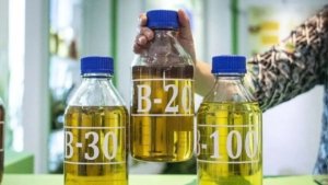 Indonesia Menang Sengketa Biodiesel di WTO, UE Diminta Cabut Bea Imbalan
