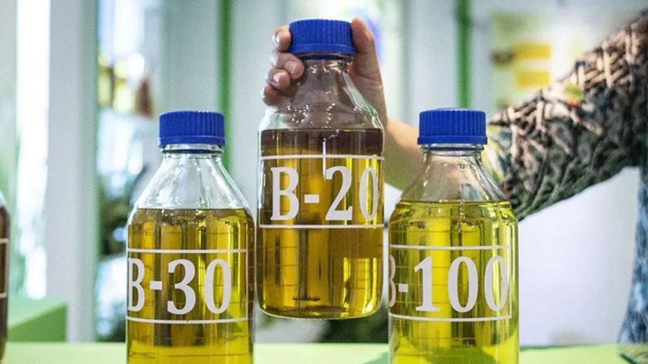Indonesia Menang Sengketa Biodiesel di WTO, UE Diminta Cabut Bea Imbalan