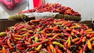 Bapanas Catat Penurunan Harga Cabai Rawit dan Bawang Merah di Pasaran
