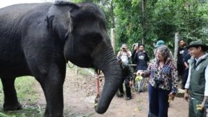 RI dan Inggris Satukan Langkah Hadapi Krisis Iklim dan Lindungi Alam