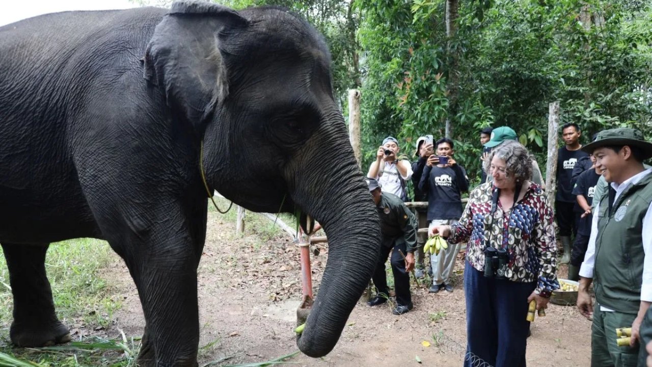 RI dan Inggris Satukan Langkah Hadapi Krisis Iklim dan Lindungi Alam