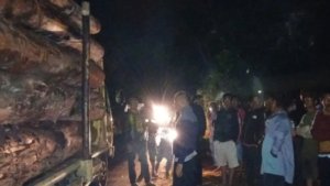 DPRD Taput Desak Hentikan Penebangan Hutan Ilegal yang Rugikan Lingkungan dan Jalan Umum