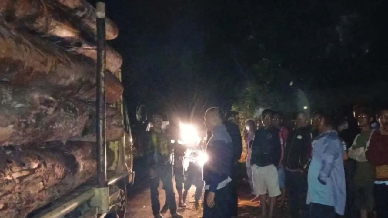 DPRD Taput Desak Hentikan Penebangan Hutan Ilegal yang Rugikan Lingkungan dan Jalan Umum