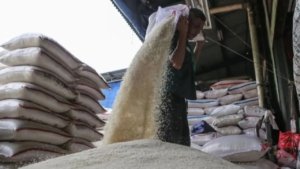 Harga Beras Turun, Bapanas Catat Premium Rp15.733/kg dan Medium Rp13.759/kg
