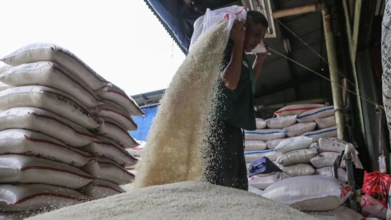 Harga Beras Turun, Bapanas Catat Premium Rp15.733/kg dan Medium Rp13.759/kg
