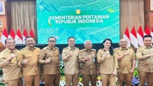 Fokus Hilirisasi Pertanian Pemkab Madina, Apa yang Jadi Prioritas?