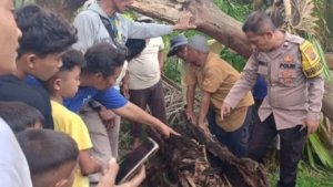 Warga Serdang Bedagai Temukan Kerangka Manusia di Dalam Pohon Aren