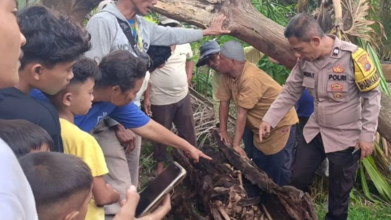 Warga Serdang Bedagai Temukan Kerangka Manusia di Dalam Pohon Aren