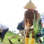 Pemkot Tanjungbalai Bersama Ditjenim Sumut Tanam Ribuan Bibit Kelapa untuk Wujudkan Asta Cita Presiden