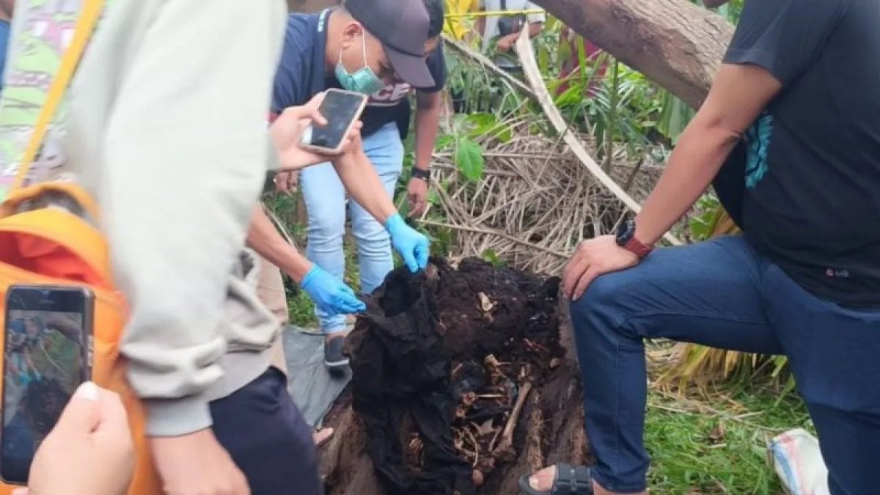 Misteri Kerangka Manusia dalam Pohon Aren di Sergai, Polisi Tunggu Hasil DNA